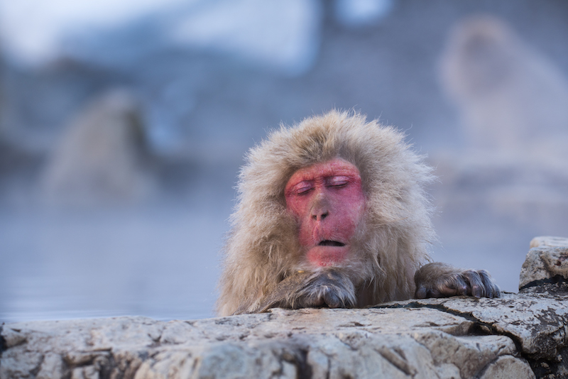 温泉地リゾートバイト求人特集温泉が恋しい季節がもうすぐ見えてきました・・・！