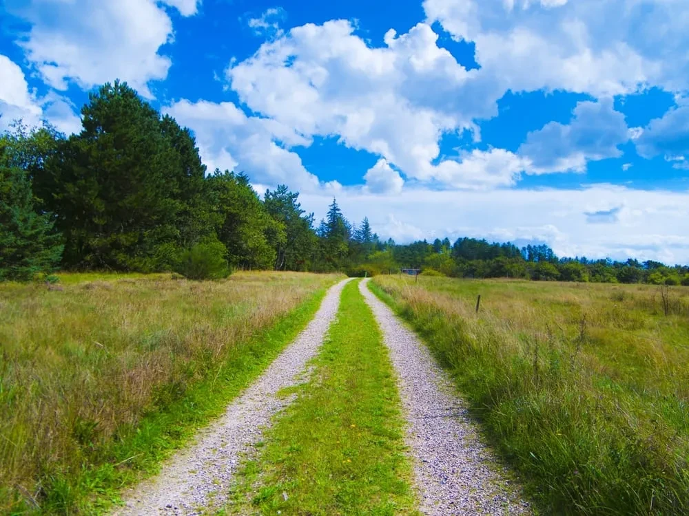夏のリゾートバイト特集、避暑地編涼しい山で、快適な夏はいかがですか♪