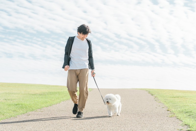 ペット可のリゾバ特集ペットと離れずに住み込みで働ける、数少ないリゾートバイト求人をご紹介します。