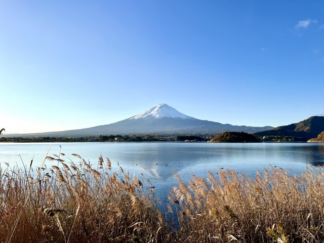 甲信越エリア（山梨県）観光スポット：富士山、河口湖、蓼科高原
アクティビティ：温泉巡り、富士山登山、ボートアクティビティ
オススメグルメ：ほうとう、甲州ワインビーフ、富士桜ポーク