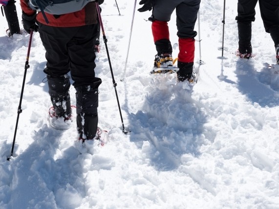 スノーシュースノーシューを履いて雪の上を歩くスノーシューツアーは、リラックスしたペースで雪景色を楽しむことができるアクティビティです。
