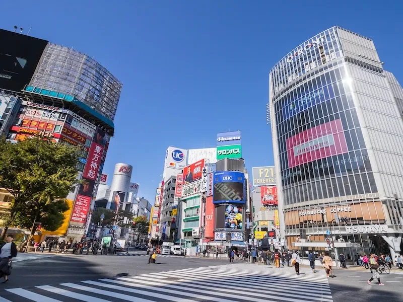 エリア画像