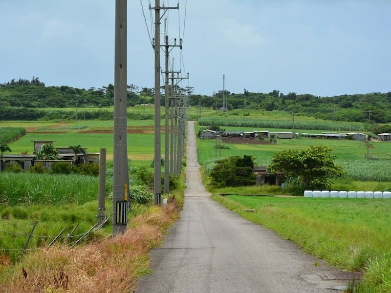 沖縄：小浜島石垣島と西表島のほぼ中間に位置しています。冬でも最高気温の平均は約22℃前後で温かい地域となります。島内にはコンビニやスーパーなどはないので準備はしっかりしてから行きましょう。