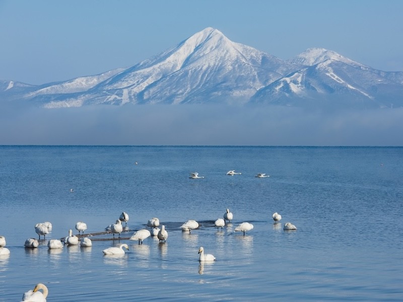 猪苗代湖湖岸に数多くの浜があり、湖水浴やウインドサーフィンなどを楽しめます。2000羽以上ともいわれるハクチョウは冬の風物詩になっています。