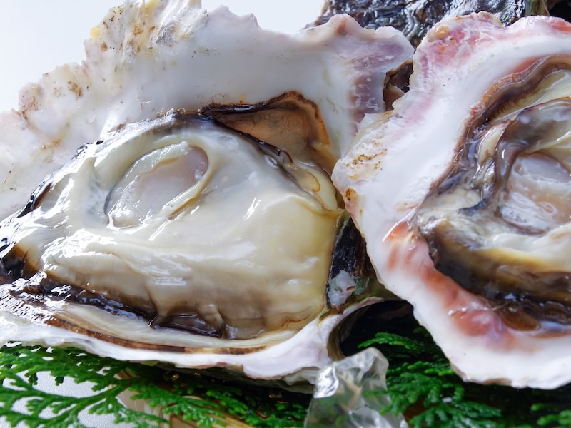 隠岐の岩がき大自然の恵みを蓄えて..出荷までに最低３年。味・大きさ共に牡蠣の王様といわれる隠岐の岩がき。