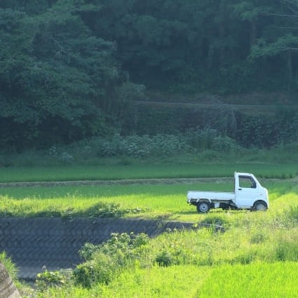 タイムスケジュール画像