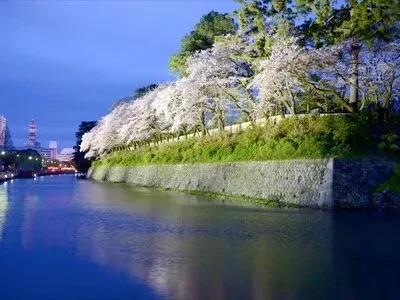 静岡・駿府城公園駿府城をバックに桜が咲き乱れる駿府城公園は、夜桜やお花見も楽しめる素敵な場所です。
