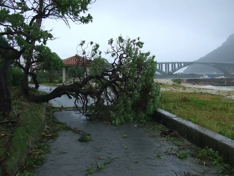 島ならではの台風対策石垣島は夏〜秋にかけて台風が多い地域です。
・事前に備蓄を準備
・外出制限がかかることもある
・求人によっては台風休業になることも