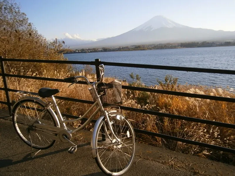 湖畔散策とサイクリング各湖畔には美しい散策コースがあります。自転車を借りて湖畔を巡るサイクリングは、新鮮な空気と美しい景色を楽しむのに最適です。