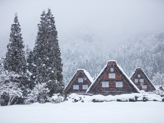 冬の白川郷（岐阜県）白川郷は四季折々の美しい風景で知られていますが、冬の雪景色も格別です。雪が積もった合掌造りの家々が幻想的な雰囲気を醸し出します。