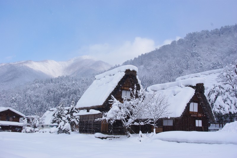 白川郷（岐阜）雪をかぶった合掌造りの集落が灯りに浮かぶ、世界遺産の雪景色