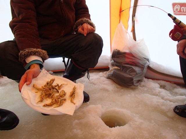 わかさぎ釣り氷上で行われる釣りイベントで、わかさぎを釣ります。親子や友達と楽しみながら、冬の寒さを感じながらの釣りが特徴です。その場で天ぷらにして食べるのがおすすめ。