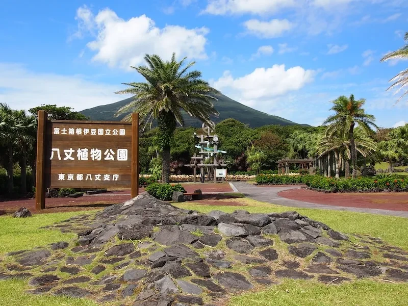 八丈植物公園八丈島の代表的な常緑広葉樹であるタブノキやスダジイの森がみられます。広場には大きなヤシの木が並び、さらに奥へ進むと南国の木々が茂る森が広がり、アフリカを思い出させます。八丈島の多雨で温暖な気候が独特な生物を育んでいます。