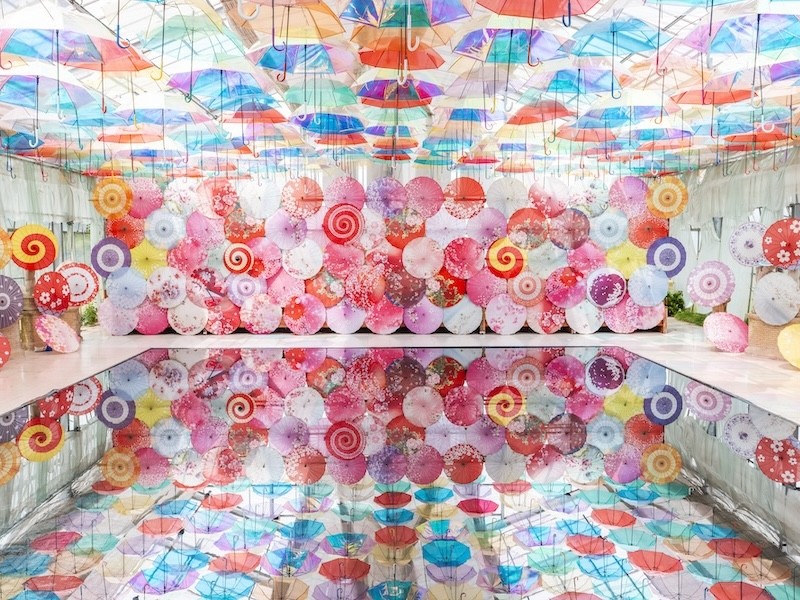 猪苗代ハーブ園約400種類のハーブや、季節によってさまざまな花が見れます。「アンブレラスカイ」では温室に彩りあざやかな傘が設置されます。映えスポットとして人気です。