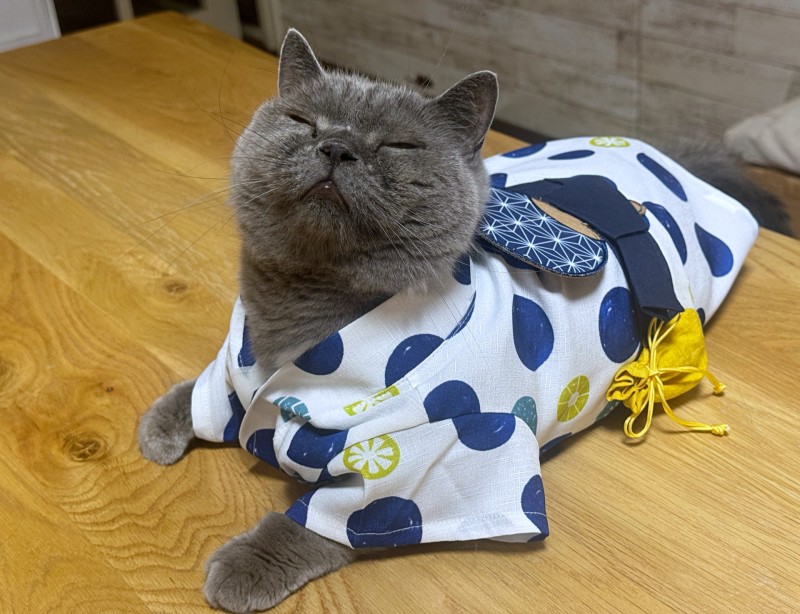 ペットと入寮する前に確認したい6つのこと対応できる動物の種類・頭数・サイズ